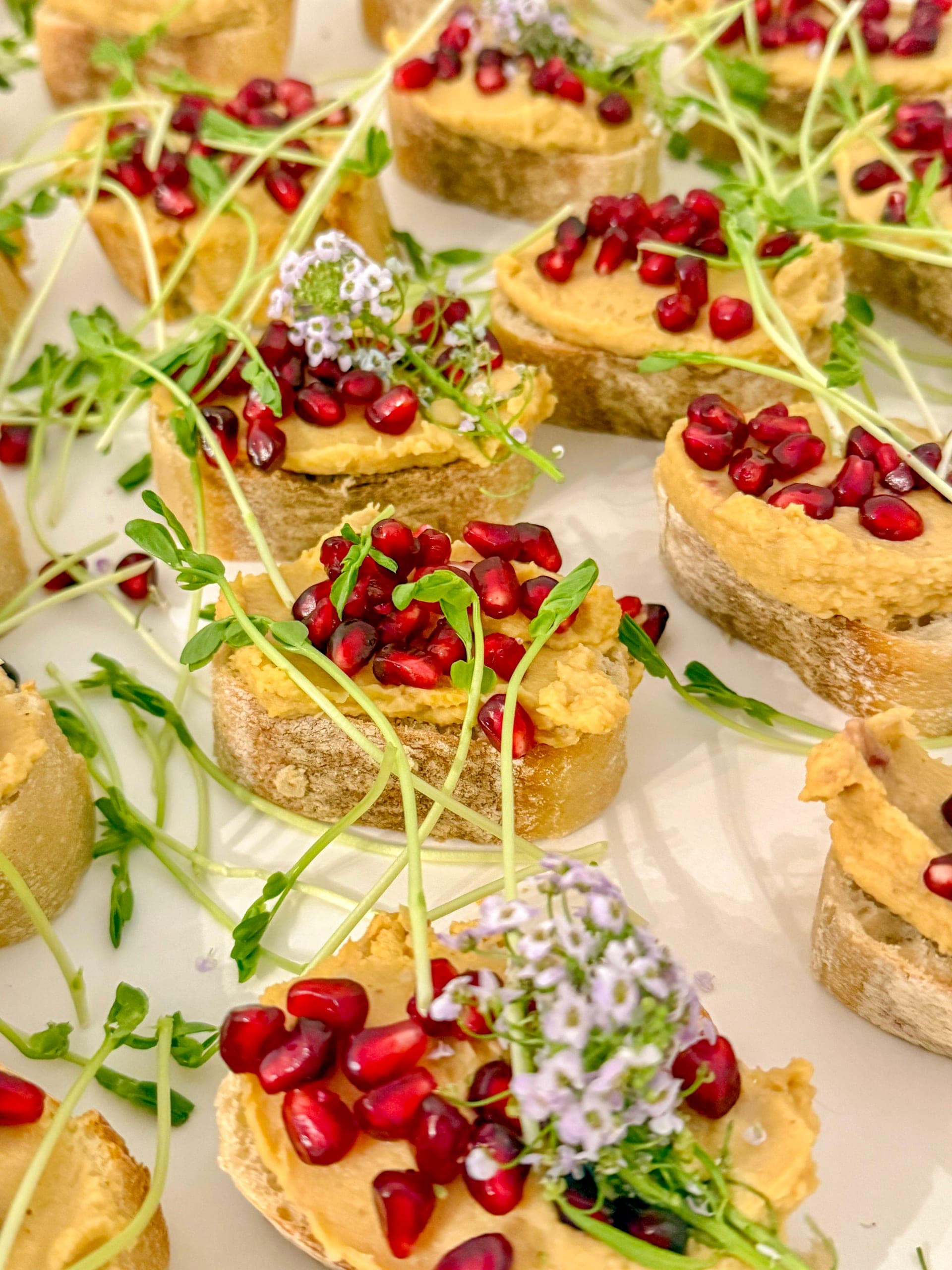 Baguette-Crostini mit cremigem Aufstrich, Granatapfelkernen, Erbsensprossen und kleinen lila Blüten